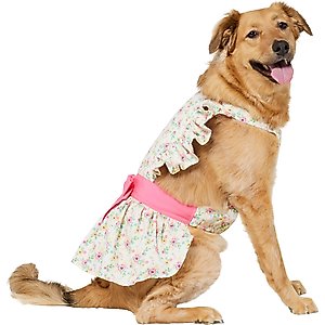 Frisco Dainty Pink Floral Dog & Cat Dress, XX-Large