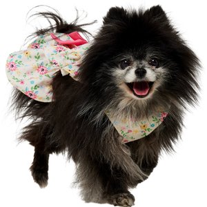 Frisco Dainty Pink Floral Dog & Cat Dress, Floral, Small