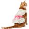 Show in main carousel: Frisco Dainty Pink Floral Dog & Cat Dress, Floral, Small slide 1 of 9