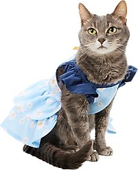 Frisco Blue Daisies Dog & Cat Dress, X-Small