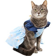 Frisco Blue Daisies Dog & Cat Dress, X-Small