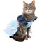 Show in main carousel: Frisco Blue Daisies Dog & Cat Dress, X-Small slide 1 of 11