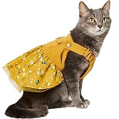 Frisco Corduroy Floral Dog & Cat Strap Dress