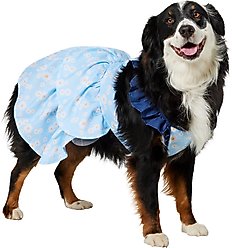 Frisco Blue Daisies Dog & Cat Dress, XX-Large