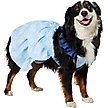 Show in main carousel: Frisco Blue Daisies Dog & Cat Dress, XX-Large slide 1 of 9
