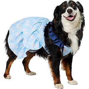 Frisco Blue Daisies Dog & Cat Dress, XX-Large