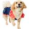 Show in main carousel: Frisco Embroidered Floral Dog & Cat Dress, Large slide 1 of 10