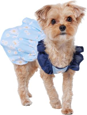 Show full view: Frisco Blue Daisies Dog & Cat Dress, X-Small slide 4 of 11