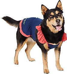 Frisco Embroidered Floral Dog & Cat Dress, XX-Large