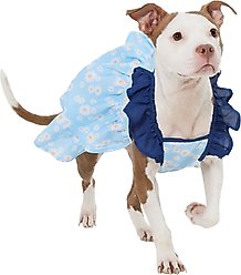 Frisco Blue Daisies Dog & Cat Dress, X-Large