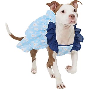 Frisco Blue Daisies Dog & Cat Dress, X-Large