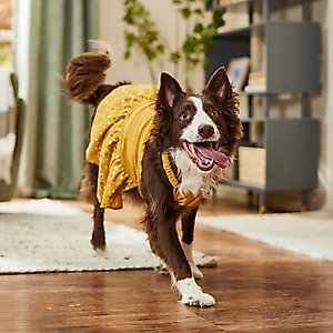 Frisco Corduroy Floral Dog & Cat Strap Dress, XX-Large