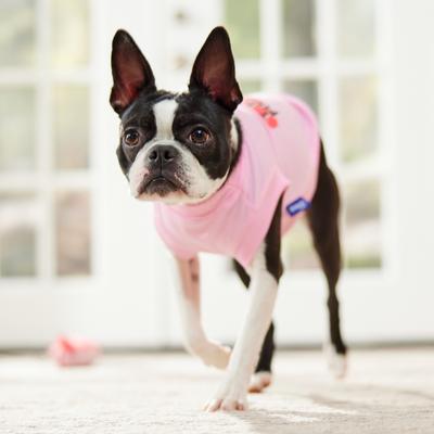 Show full view: Frisco I Love Mommy Dog & Cat T-Shirt, Pink, Small slide 7 of 9