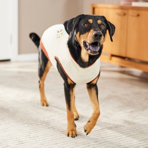 Frisco Problem Child Dog & Cat T-Shirt, XX-Large