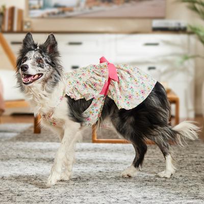 Show full view: Frisco Dainty Pink Floral Dog & Cat Dress, Floral, X-Large slide 5 of 8