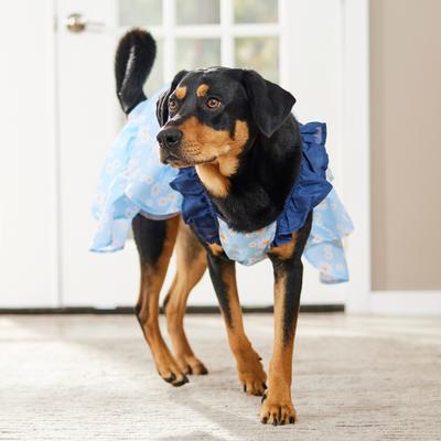 Show full view: Frisco Blue Daisies Dog & Cat Dress, XX-Large slide 5 of 9