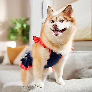 Frisco Embroidered Floral Dog & Cat Dress, Medium