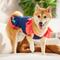 Show in main carousel: Frisco Embroidered Floral Dog & Cat Dress, Large slide 6 of 10