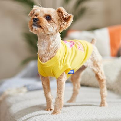 Show full view: Frisco Mama's Sunshine Dog & Cat T-Shirt, Sunshine, X-Small slide 6 of 9