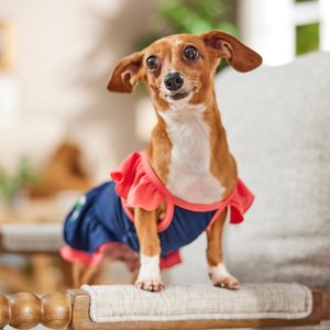 Frisco Embroidered Floral Dog & Cat Dress, Small