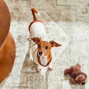 Frisco Problem Child Dog & Cat T-Shirt, Small