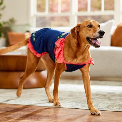 Show full view: Frisco Embroidered Floral Dog & Cat Dress, XX-Large slide 5 of 9