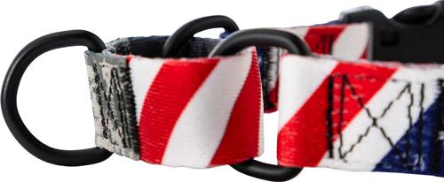 Show full view: Wolfgang Heavy Duty DigitalDog Martingale Dog Collar with Quick Release, Medium: 12 to 18-in neck, 1-in wide slide 6 of 8