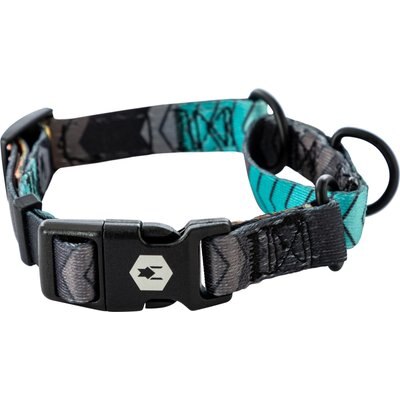 Wolfgang Wolfgang Heavy Duty ChevTech Martingale Dog Collar with Quick Release, Small: 8 to 12-in neck, 5/8-in wide