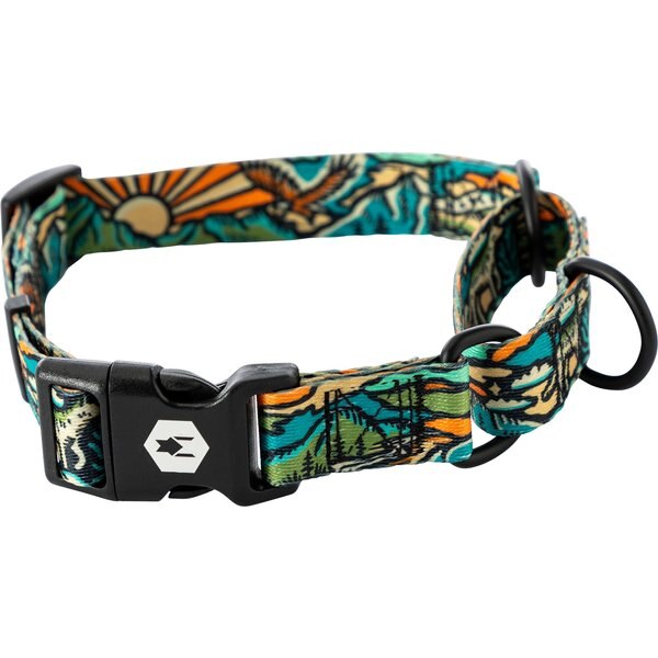 Wolfgang Heavy Duty ShatterShapes Martingale Dog Collar with Quick Release
