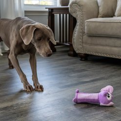 Outward Hound Bottle Bros Elephant Plush Dog Toy slide 2 of 6