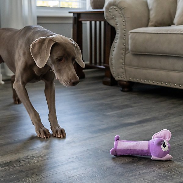 Show full view: Outward Hound Bottle Bros Elephant Plush Dog Toy slide 6 of 8