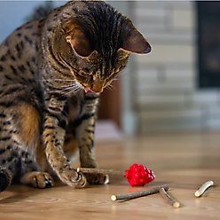 Catstages Dental Raspberry Teether Cat & Kitten Plush Toy with Silvervine Sticks, Red slide 2 of 8