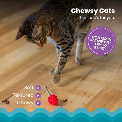 Show full view: Catstages Dental Raspberry Teether Cat & Kitten Plush Toy with Silvervine Sticks, Red slide 3 of 9