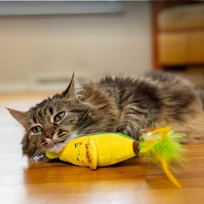 Show full view: Catstages Peelin' Good Banana Kicker Dental Cat Plush Toy with Catnip, Yellow slide 7 of 10