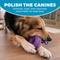 Show in main carousel: Outward Hound 2-in-1 Dental Wheel Dog Chew & Tug Toy, Purple slide 4 of 9