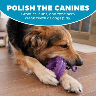 Show full view: Outward Hound 2-in-1 Dental Wheel Dog Chew & Tug Toy, Purple slide 4 of 9