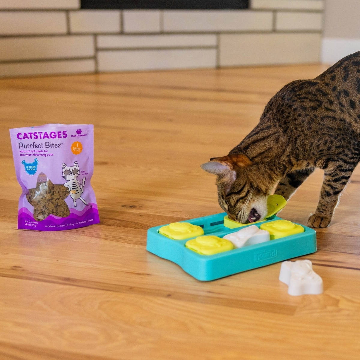 CATSTAGES by Nina Ottosson Purrfect Bitez Real Chicken Flavor