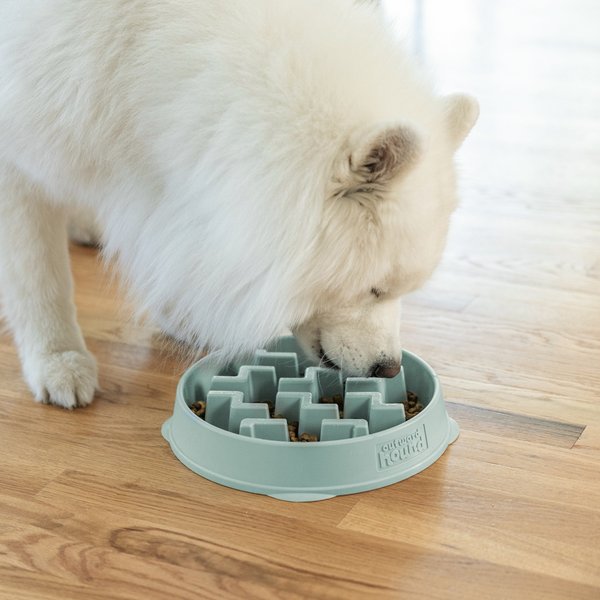 Outward Hound Fun Feeder Slo Bowl Non-Skid Plastic Slow Feeder Dog Bowl, Sage