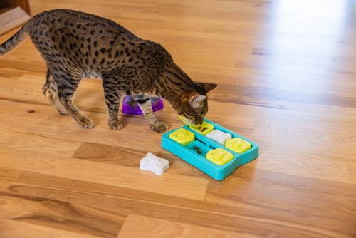 Show full view: Catstages by Nina Ottosson Purrfect Bitez Real WhiteFish Flavor Natural Crunchy Cat Treats, 4-oz bag slide 10 of 12