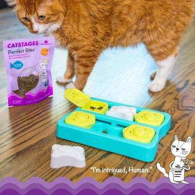 Show full view: Catstages by Nina Ottosson Purrfect Bitez Real WhiteFish Flavor Natural Crunchy Cat Treats, 4-oz bag slide 3 of 12