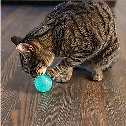 Catstages Ball Treat Stuffer Interactive Cat Treat Dispenser Toy, Green slide 2 of 8