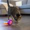 Show in main carousel: Catstages Hamster Ball Treat Dispensing Cat Toy, Purple slide 7 of 9