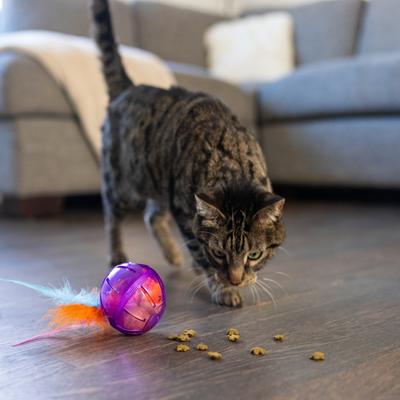 Show full view: Catstages Hamster Ball Treat Dispensing Cat Toy, Purple slide 7 of 9