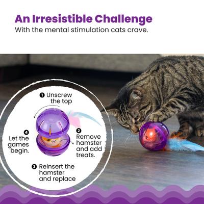 Show full view: Catstages Hamster Ball Treat Dispensing Cat Toy, Purple slide 4 of 9