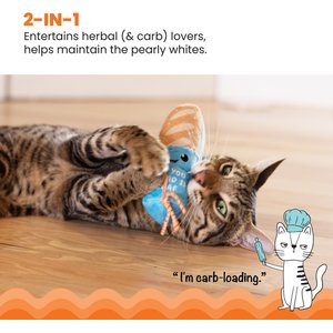 Catstages Loaf Kicker Cat Dental Toy with Catnip, Blue