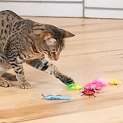 Catstages Cute As a Bug Themed Plush Interactive Crinkle Mesh Cat Toy with Catnip, Multicolor, Small slide 2 of 8
