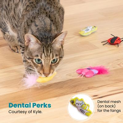 Show full view: Catstages Cute As a Bug Themed Plush Interactive Crinkle Mesh Cat Toy with Catnip, Multicolor, Small slide 6 of 9