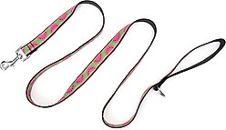 The Worthy Dog Watermelon Dog Leash, Green, Large: 5-ft long, 1-in wide slide 2 of 3
