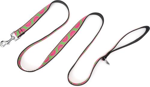 Show full view: The Worthy Dog Watermelon Dog Leash, Green, Large: 5-ft long, 1-in wide slide 2 of 3