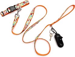 The Worthy Dog Tutti Frutti Dog Leash, Blue, Large: 5-ft long, 1-in wide slide 2 of 4